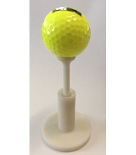 TEE EXTENSIBLE