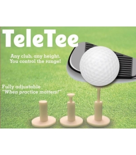 TEE EXTENSIBLE