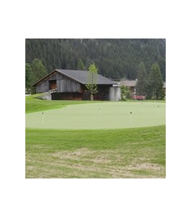 CESPED PUTTING GREEN CESPED PUTTING GREEN