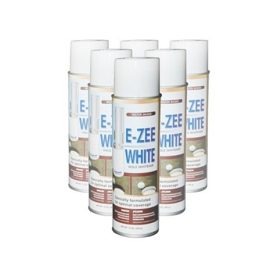 SOLO PINTURA E-ZEE